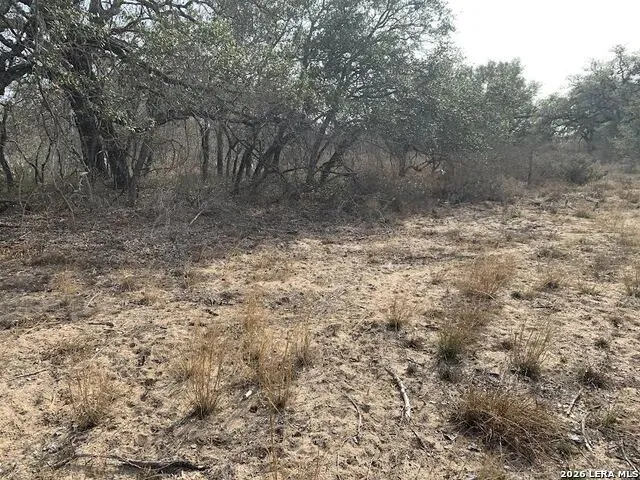 264 CR 6719 Natalia, TX 78059
