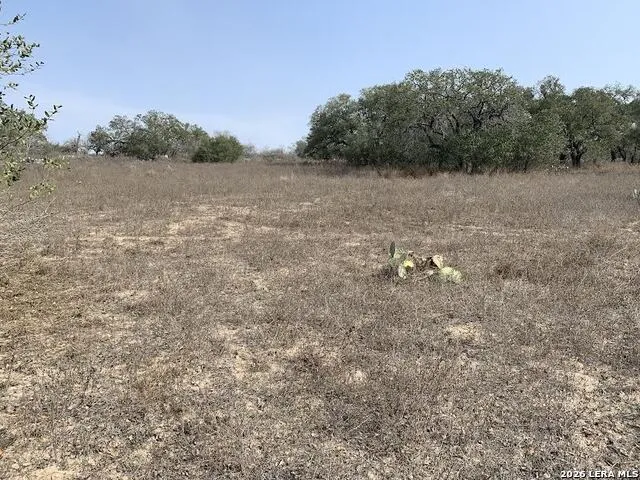 264 CR 6719 Natalia, TX 78059