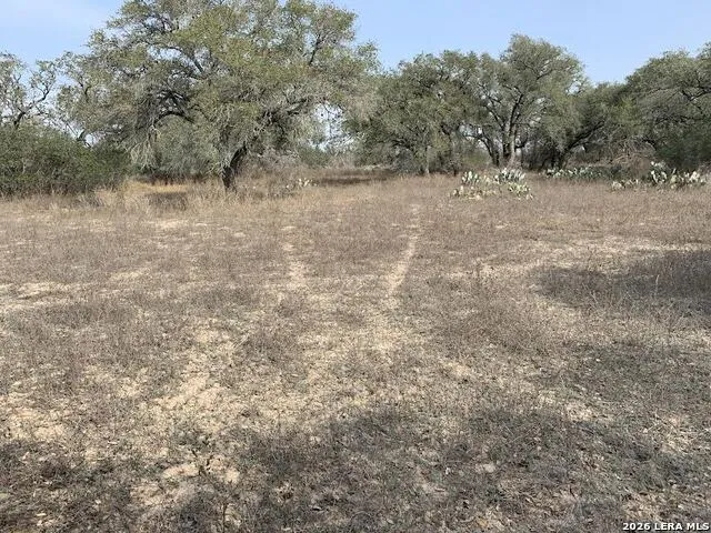 264 CR 6719 Natalia, TX 78059