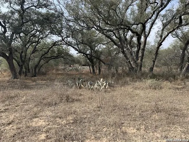 264 CR 6719 Natalia, TX 78059