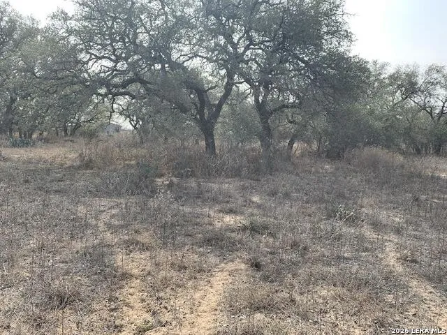 264 CR 6719 Natalia, TX 78059