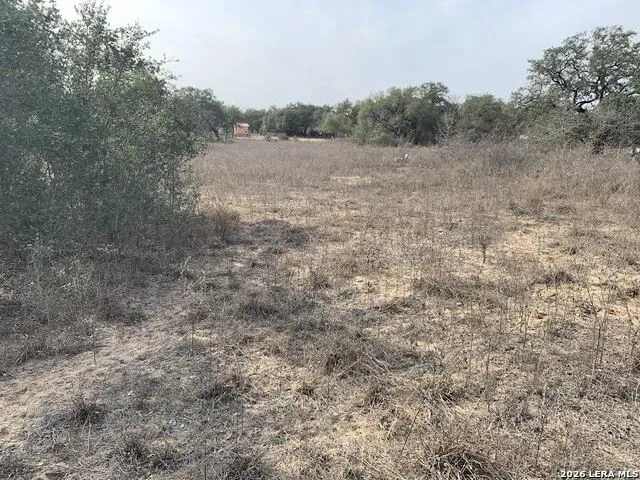 264 CR 6719 Natalia, TX 78059