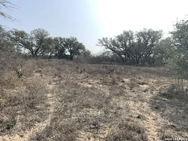 264 CR 6719 Natalia, TX 78059