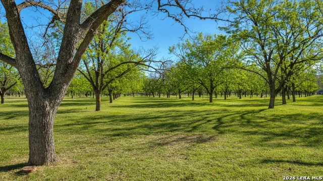 429 Johnny Seibert Ln Leakey, TX 78873