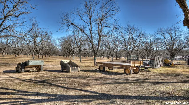 429 Johnny Seibert Ln Leakey, TX 78873