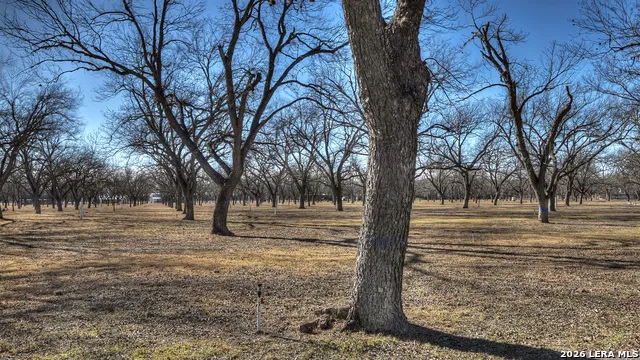429 Johnny Seibert Ln Leakey, TX 78873