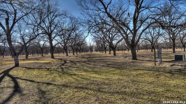 429 Johnny Seibert Ln Leakey, TX 78873