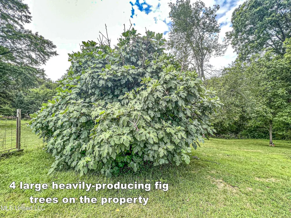 14912 Ms 35 Batesville, MS 38606