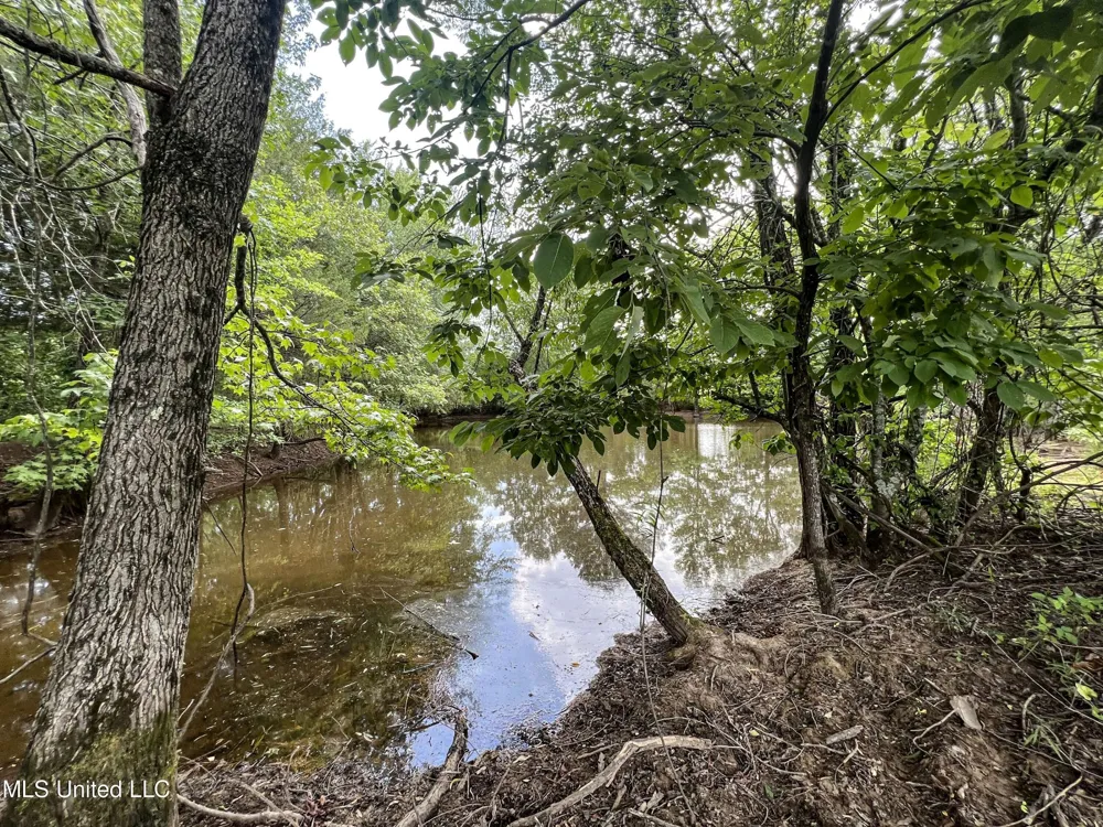 14912 Ms 35 Batesville, MS 38606