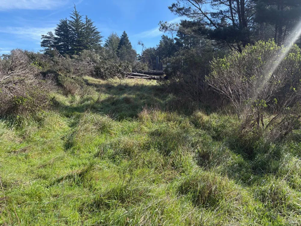 35411 Fly Cloud Road The Sea Ranch, CA 95497