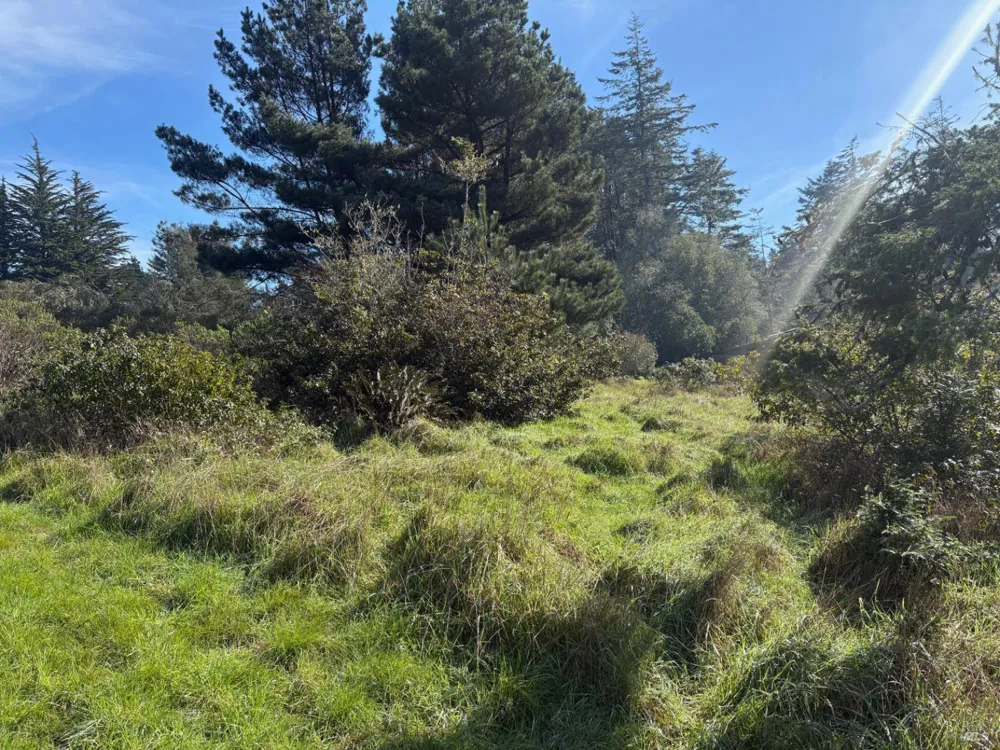 35411 Fly Cloud Road The Sea Ranch, CA 95497