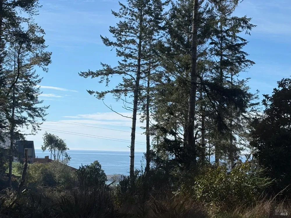 35411 Fly Cloud Road The Sea Ranch, CA 95497