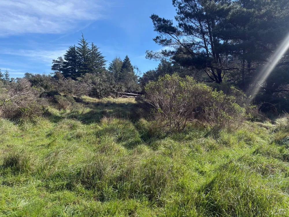 35411 Fly Cloud Road The Sea Ranch, CA 95497