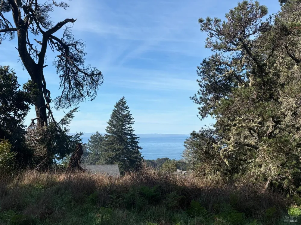 35411 Fly Cloud Road The Sea Ranch, CA 95497