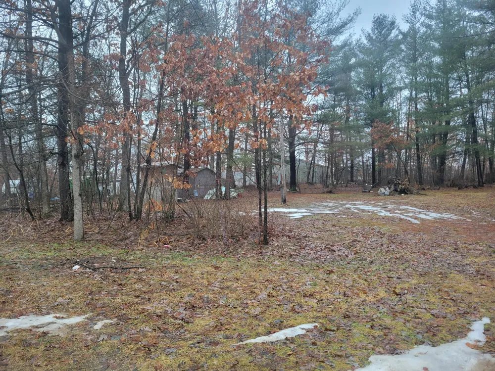 8650 Paw Paw Trail Reynolds Township, MI 49329