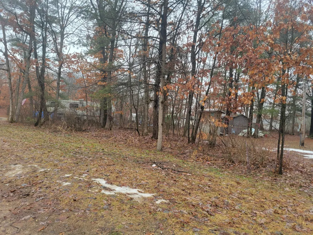 8650 Paw Paw Trail Reynolds Township, MI 49329