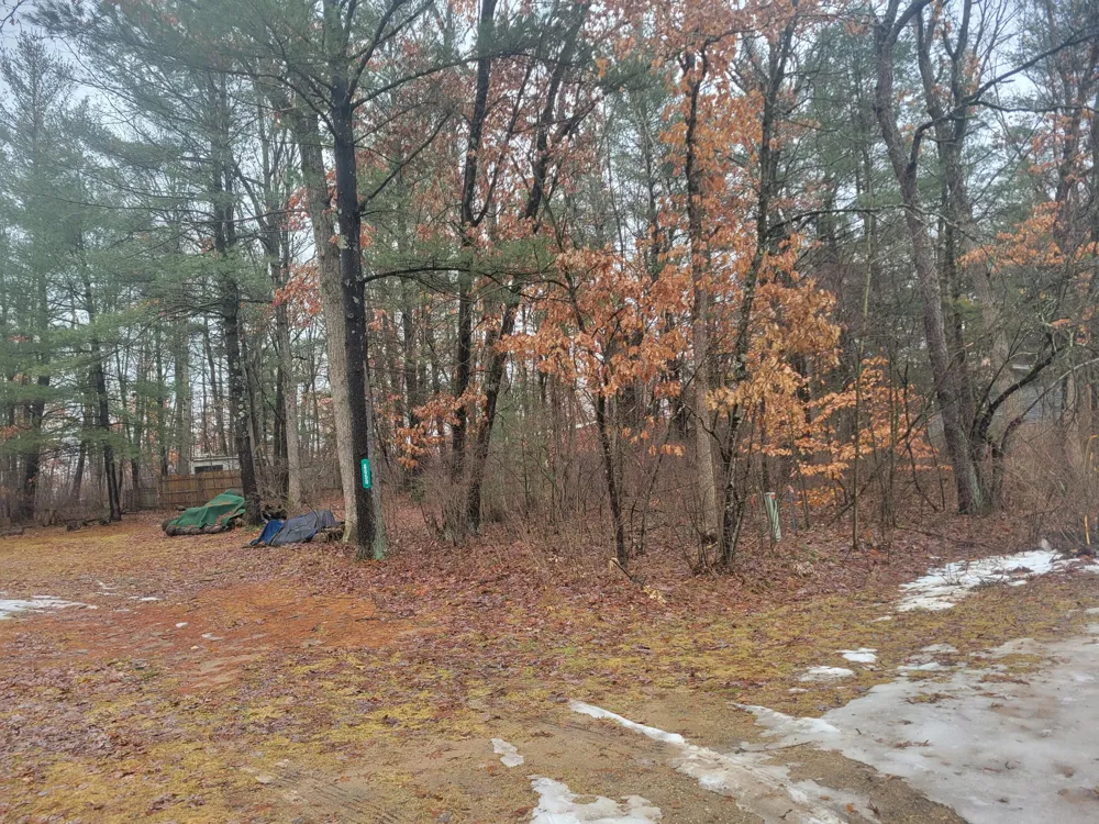 8650 Paw Paw Trail Reynolds Township, MI 49329