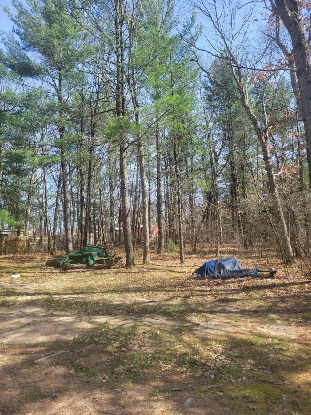 8650 Paw Paw Trail Reynolds Township, MI 49329