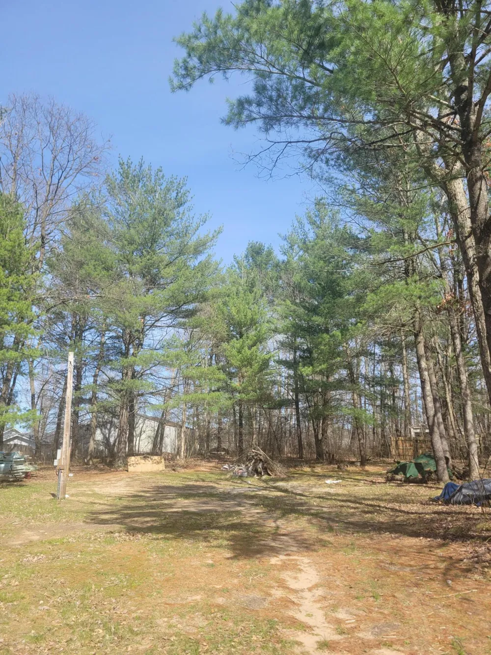 8650 Paw Paw Trail Reynolds Township, MI 49329