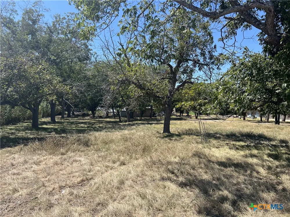 415 Hickory Avenue New Braunfels, TX 78130