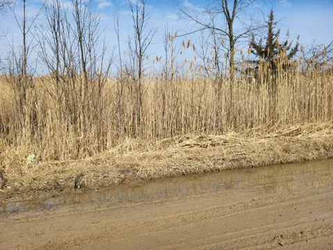 Carleton West Road