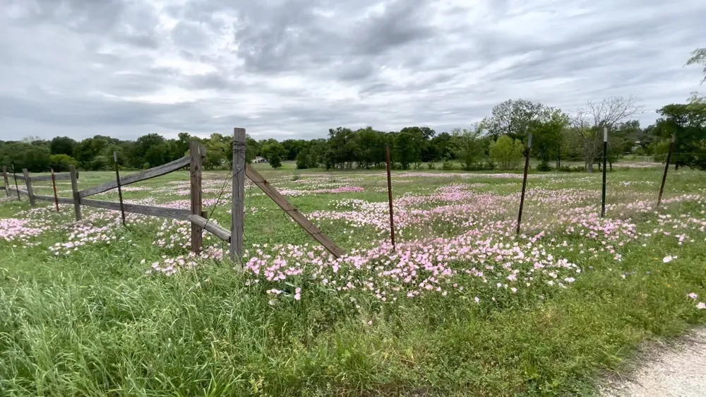 5001 Blue Bluff Road Austin, TX 78724