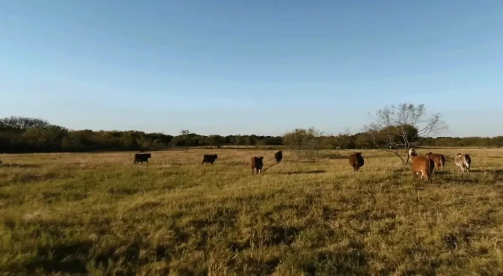1179 E FM 813 Palmer, TX 75152