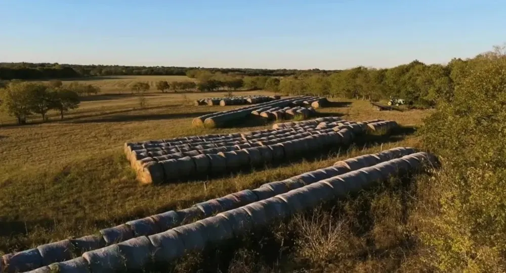 1179 E FM 813 Palmer, TX 75152
