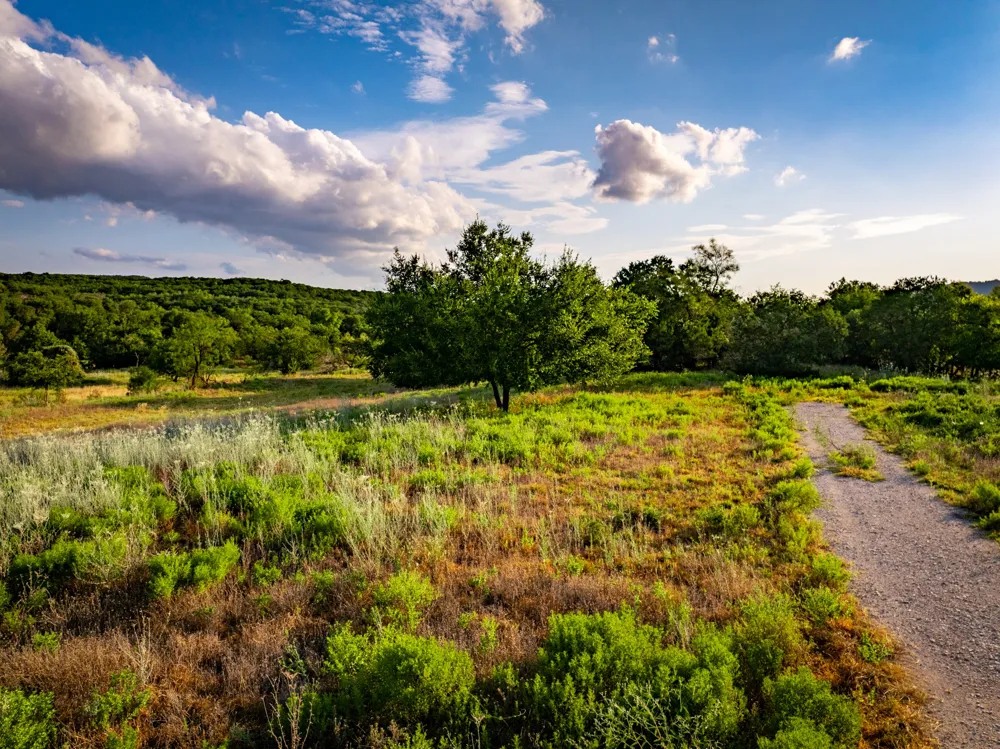 Fortune Bend Road Graford, TX 76449