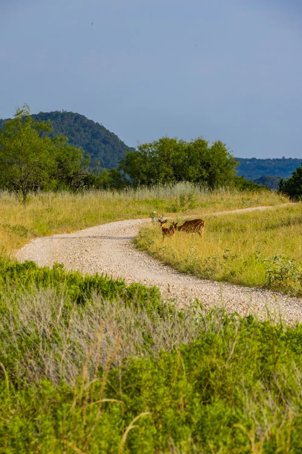 Fortune Bend Road Graford, TX 76449