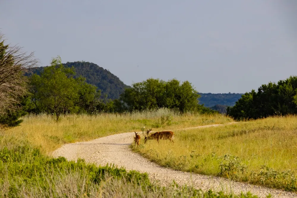 Fortune Bend Road Graford, TX 76449