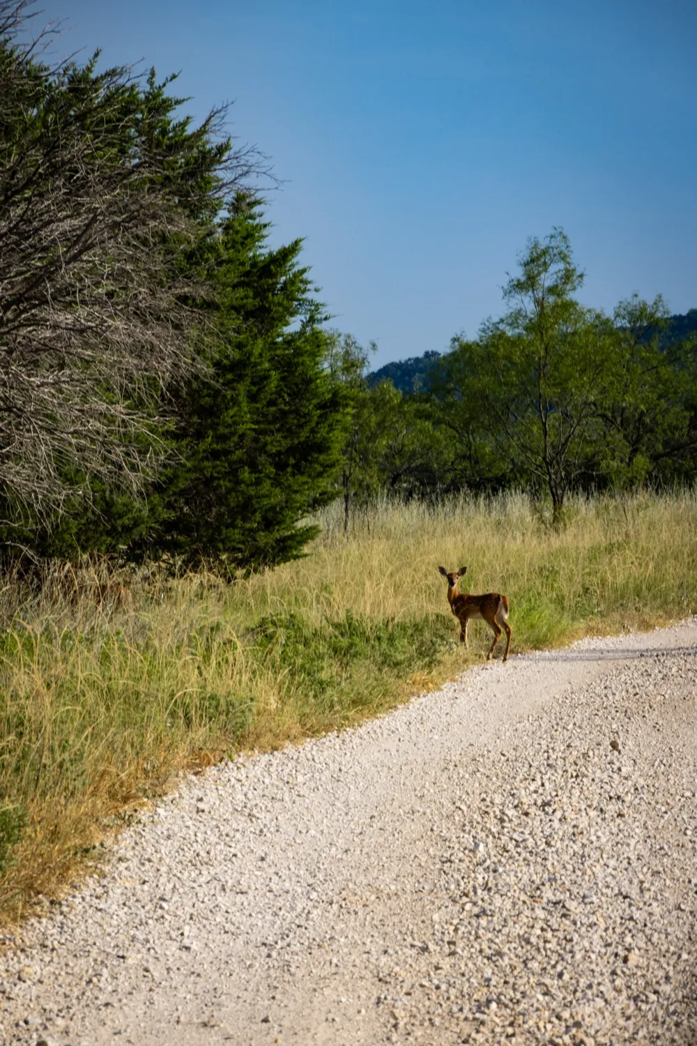 Fortune Bend Road Graford, TX 76449
