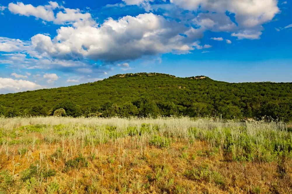 Fortune Bend Road Graford, TX 76449