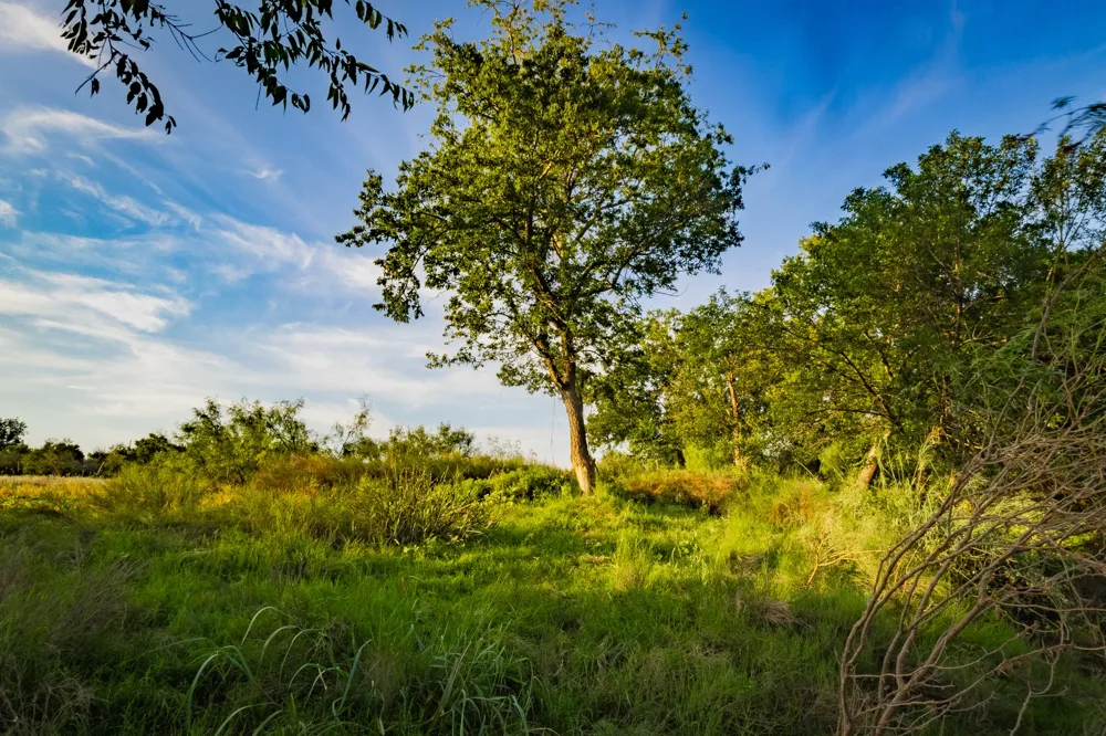 Fortune Bend Road Graford, TX 76449