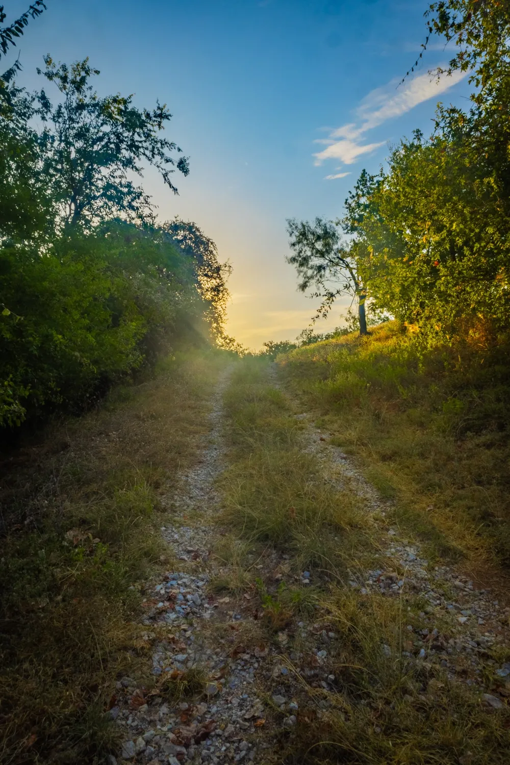 Fortune Bend Road Graford, TX 76449