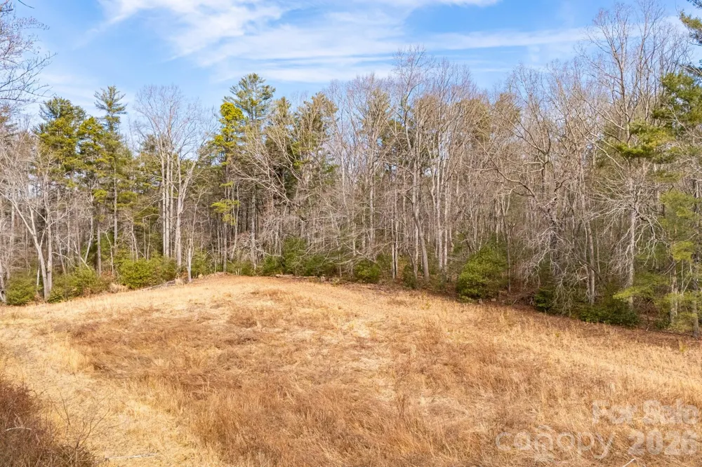 00 Old Haywood Road Mills River, NC 28759