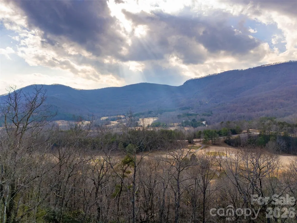788 E Deep Gap Farm Road Mill Spring, NC 28756
