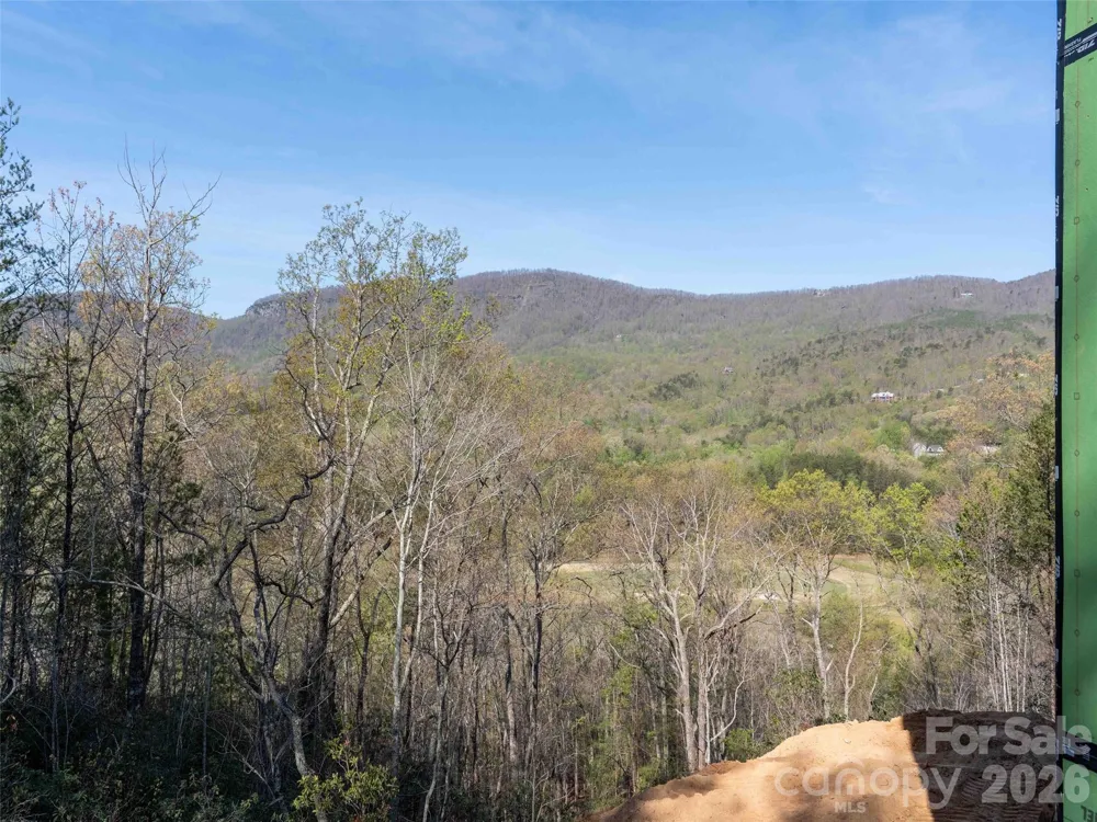 788 E Deep Gap Farm Road Mill Spring, NC 28756