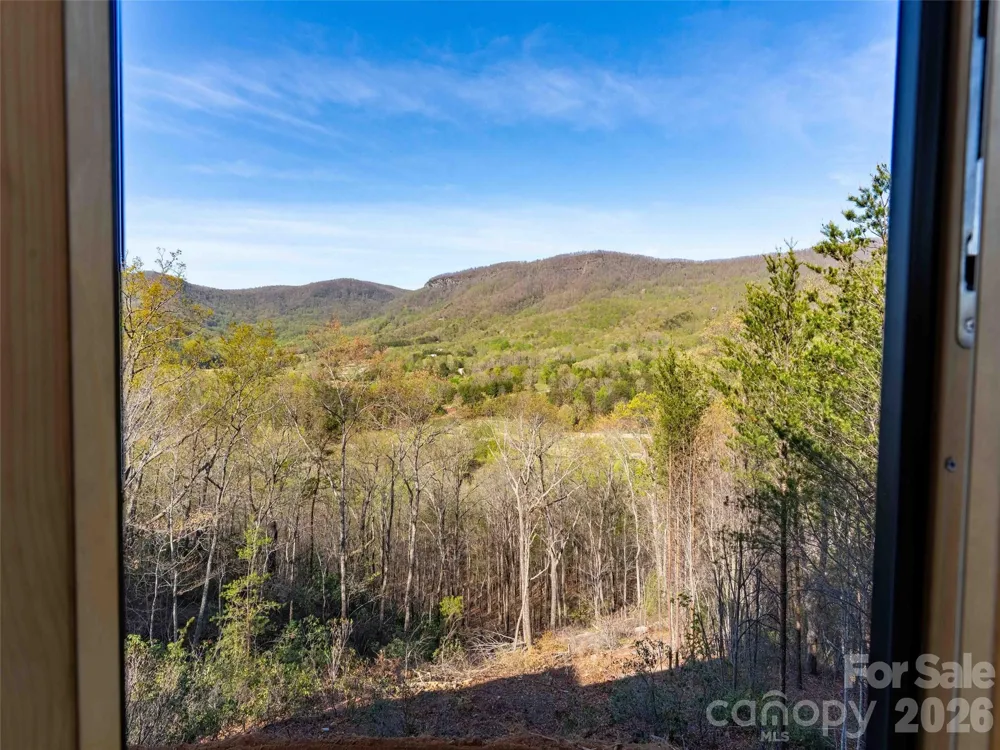 788 E Deep Gap Farm Road Mill Spring, NC 28756