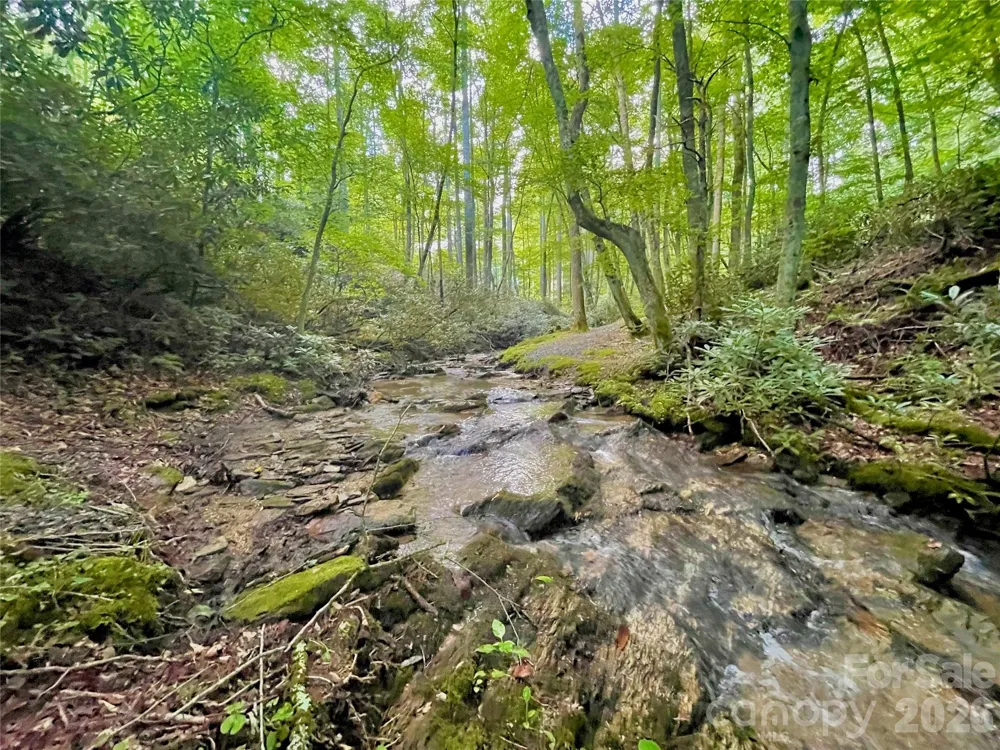 #203 Thunderhill Trail #203 Blowing Rock, NC 28605