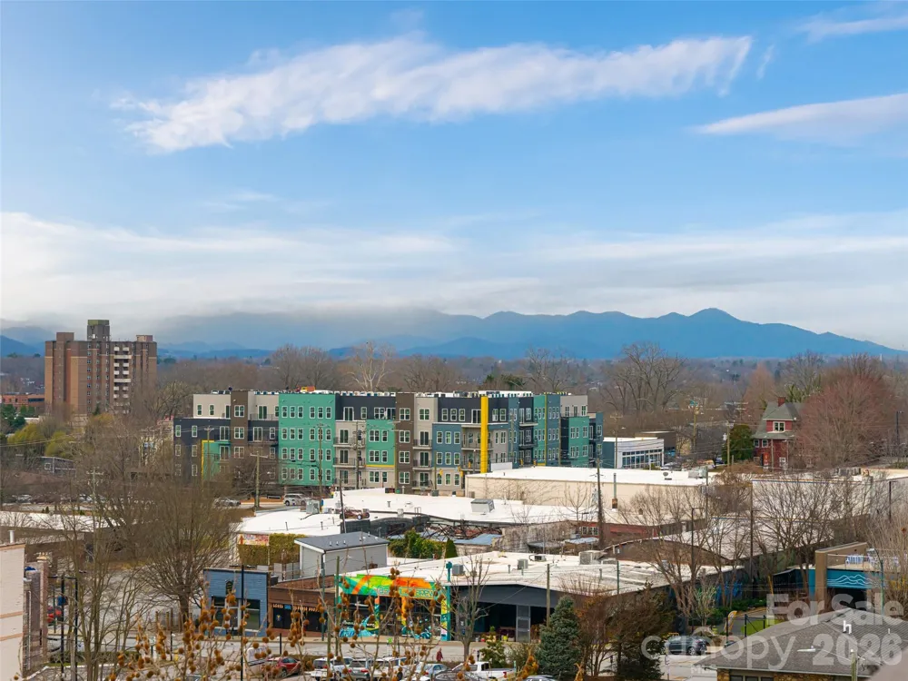 61 Church Street #103 Asheville, NC 28801