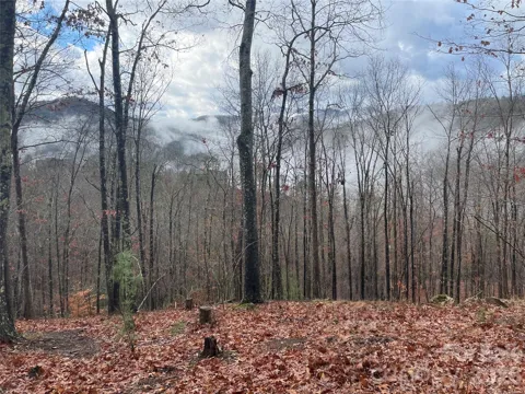 75 Wild Turkey Loop #31