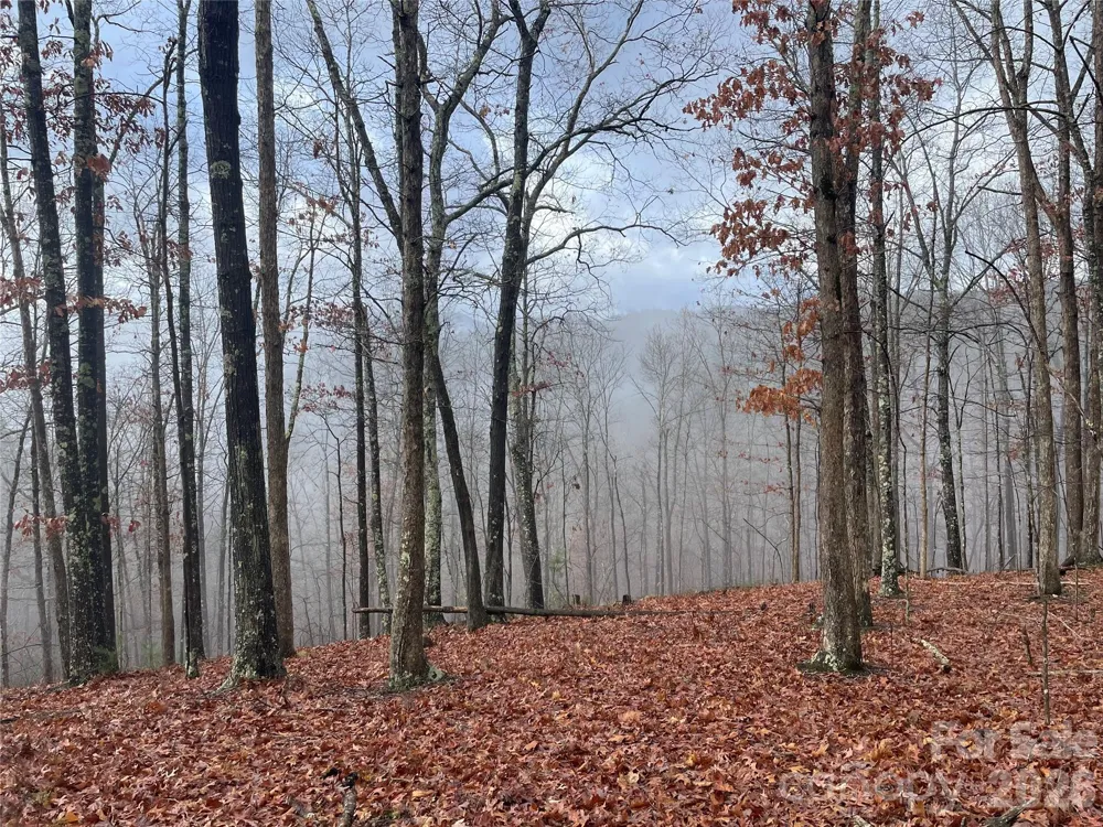 75 Wild Turkey Loop #31 Marshall, NC 28753