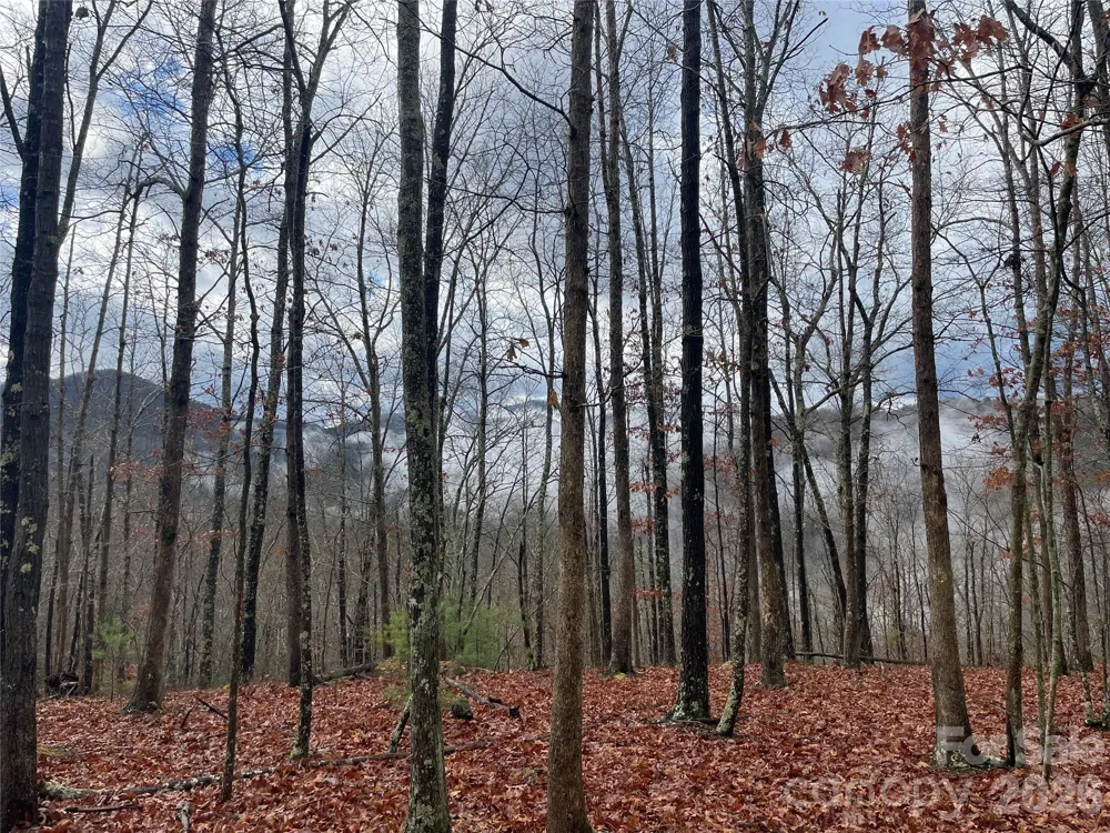 75 Wild Turkey Loop #31 Marshall, NC 28753
