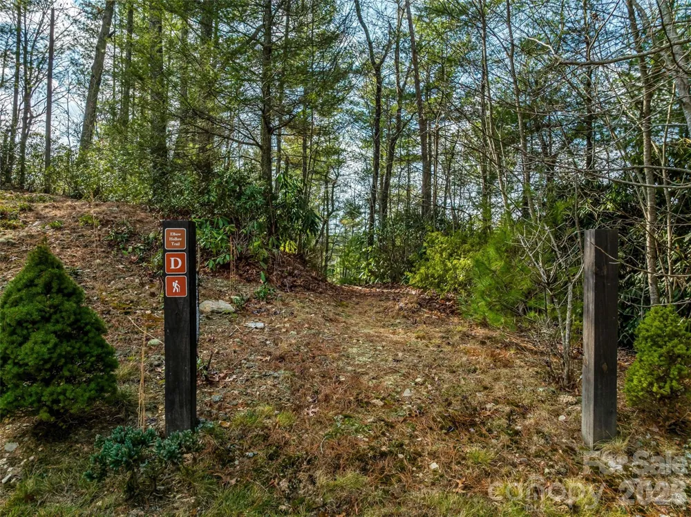 75 Wild Turkey Loop #31 Marshall, NC 28753