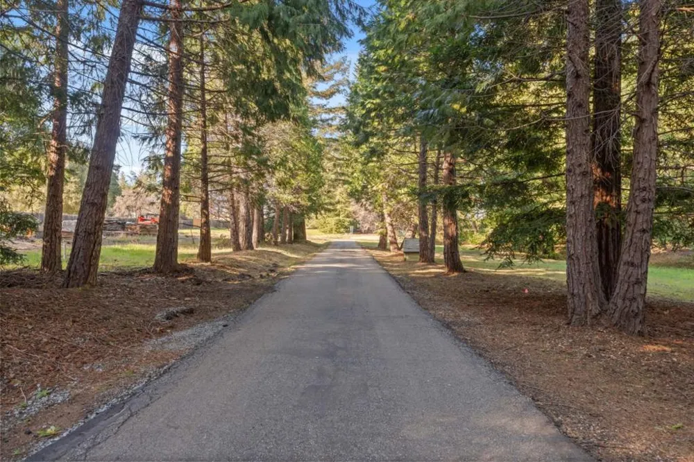 15 Braemoor Drive Santa Cruz, CA 95060