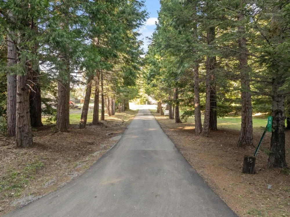 15 Braemoor Drive Santa Cruz, CA 95060