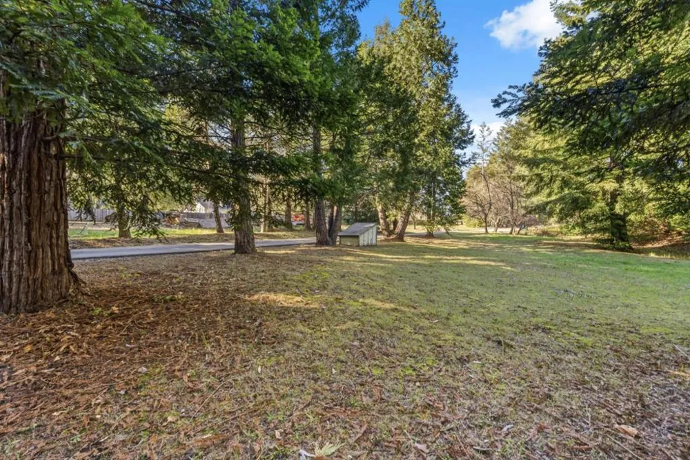 15 Braemoor Drive Santa Cruz, CA 95060