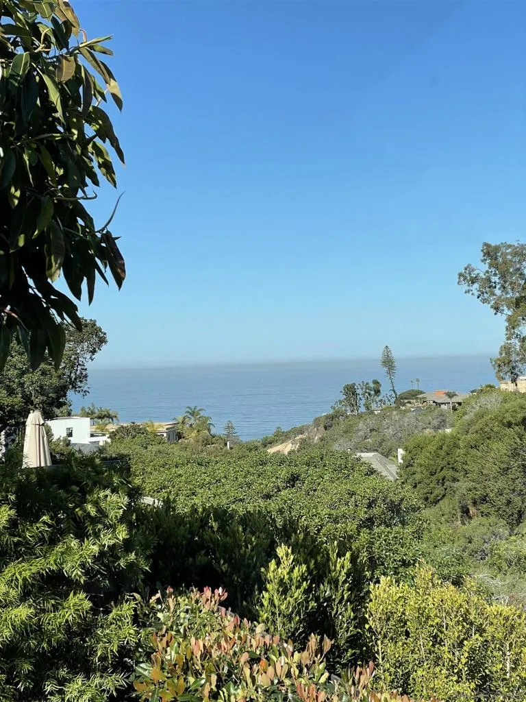 1402 Rodeo Drive La Jolla, CA 92037