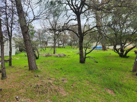 582 Silver Leaf Dr.